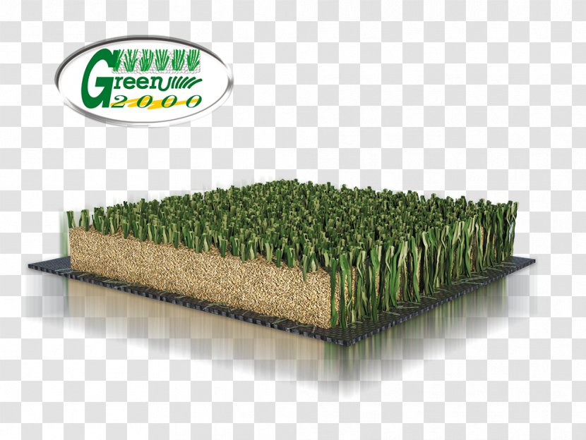 Artificial Turf Lawn Italgreen SpA Athletics Field - Plant - Football Grass Transparent PNG