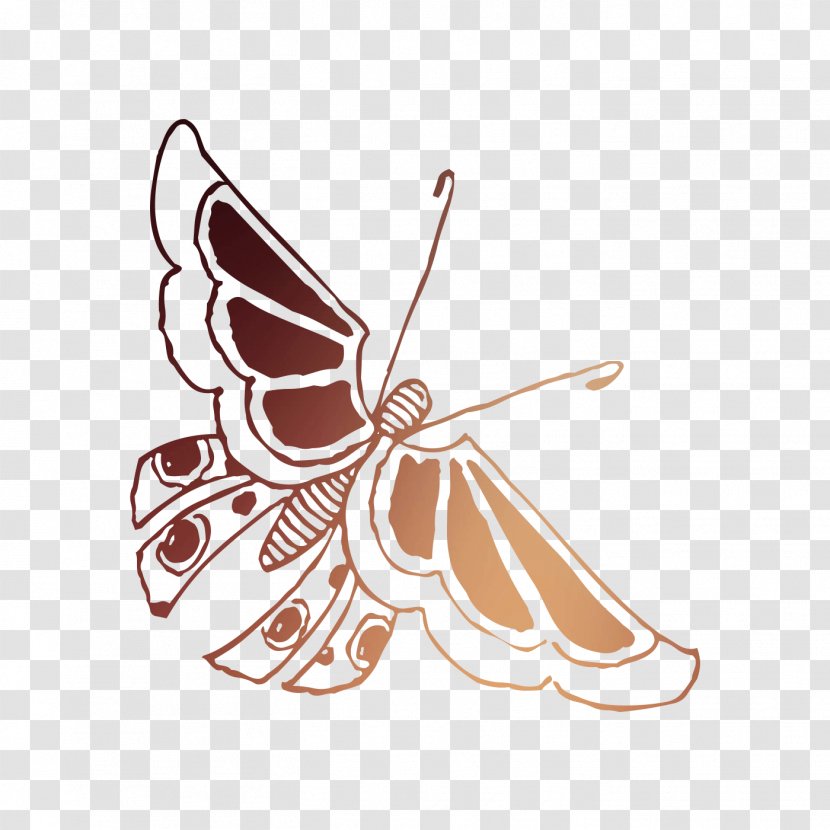 Monarch Butterfly Brush-footed Butterflies Moth Insect Illustration - Pest - Moths And Transparent PNG