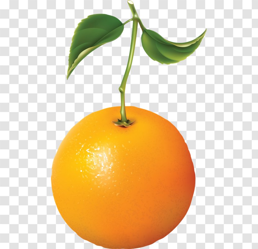 Clip Art - Sweet Lemon - Orange Transparent PNG