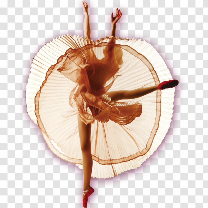 Ballet Dancer Pointe Shoe Technique - Tree Transparent PNG