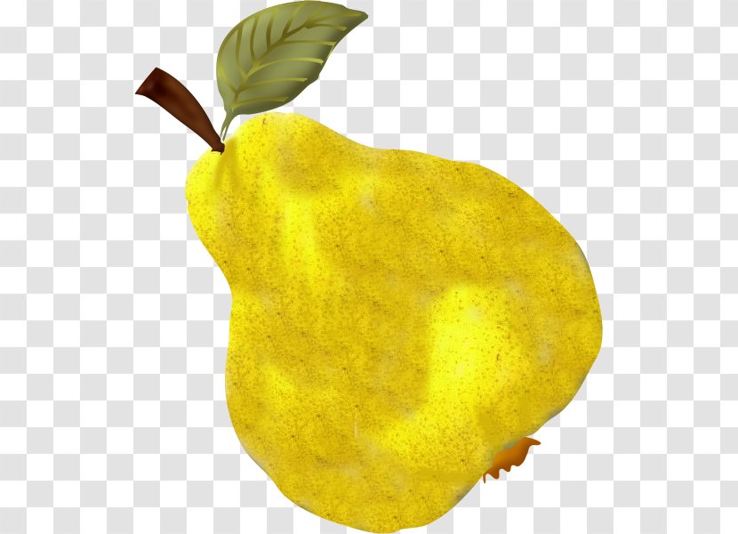 Pear Fruits Et Légumes Vegetable - Lemon Transparent PNG