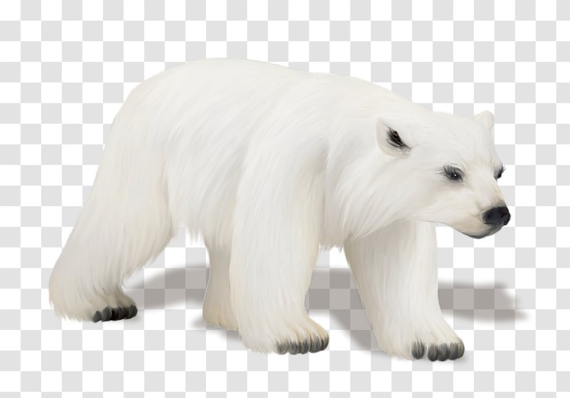 Polar Bear Drawing Clip Art Transparent PNG