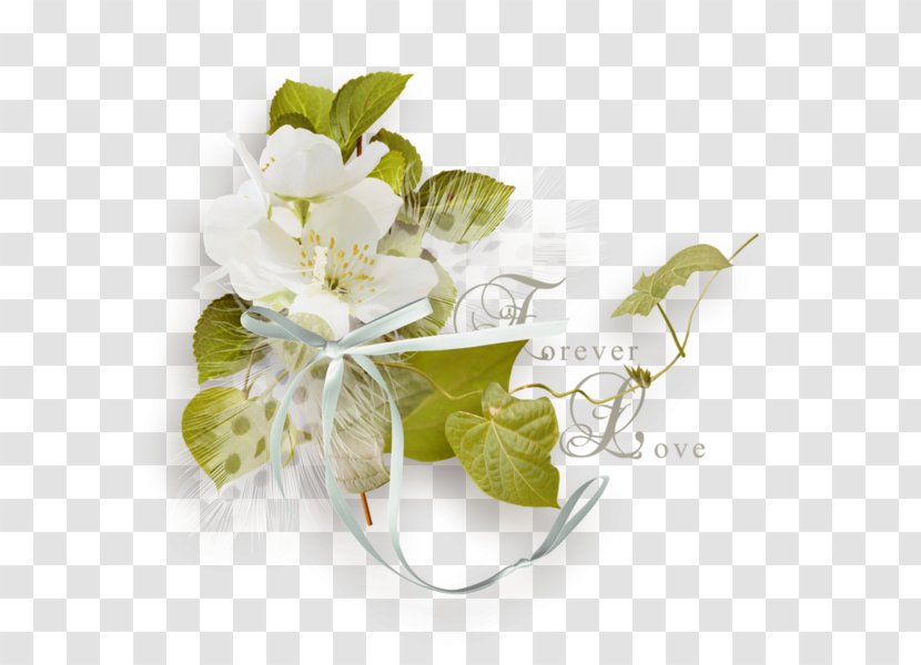 Clip Art Flower Desktop Wallpaper Image - Picture Frames Transparent PNG