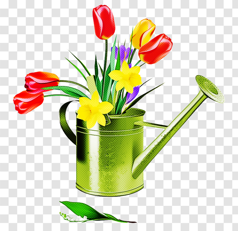 Flowerpot Cut Flowers Flower Tulip Watering Can Transparent PNG