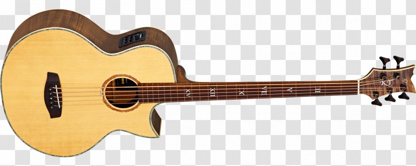 Musical Instruments Bass Guitar Acoustic String - Frame Transparent PNG