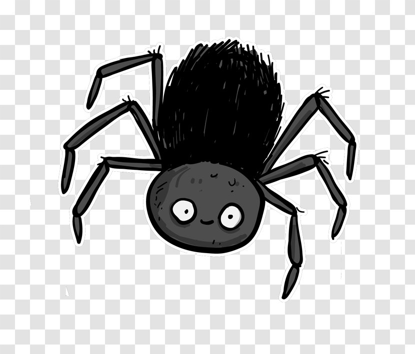 Southern Black Widow Spider - Arachnid Transparent PNG