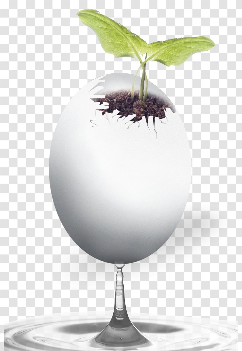 Download Gratis Google Images - Shoot - Egg Plant Transparent PNG