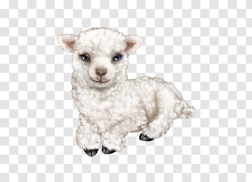 Sheep Goat Stuffed Animals & Cuddly Toys Snout Transparent PNG
