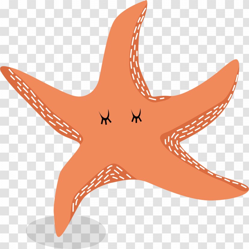 Starfish Euclidean Vector - Vecteur - Red Transparent PNG