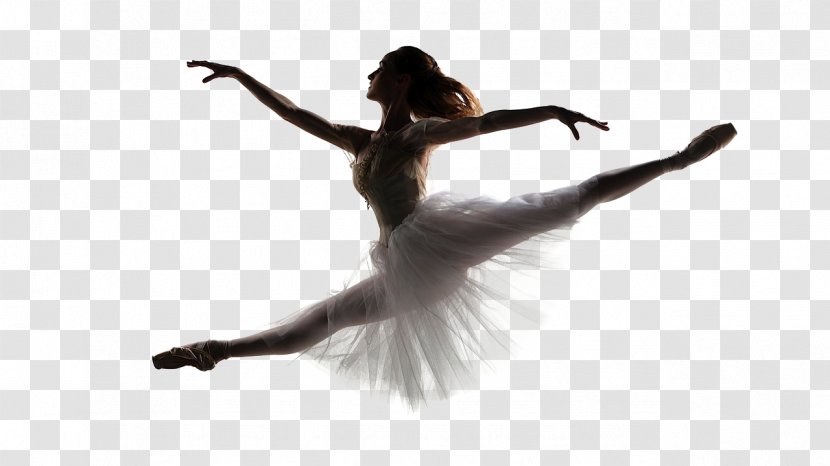 Wildwood Ballet Dancer Image - Royaltyfree Transparent PNG