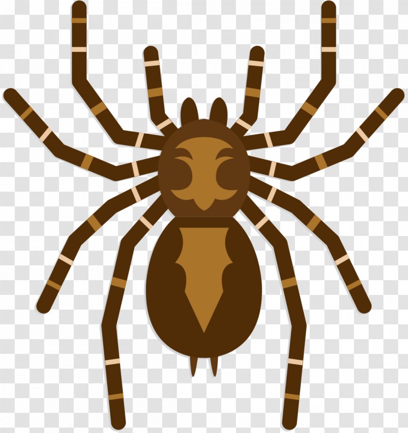 Clip Art Arachnid Insect Product Pattern - Araneus - Tarantula Transparent PNG