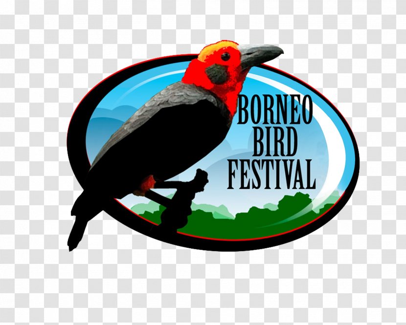 Sandakan Bird East Malaysia Tambunan Festival - Toucan Transparent PNG