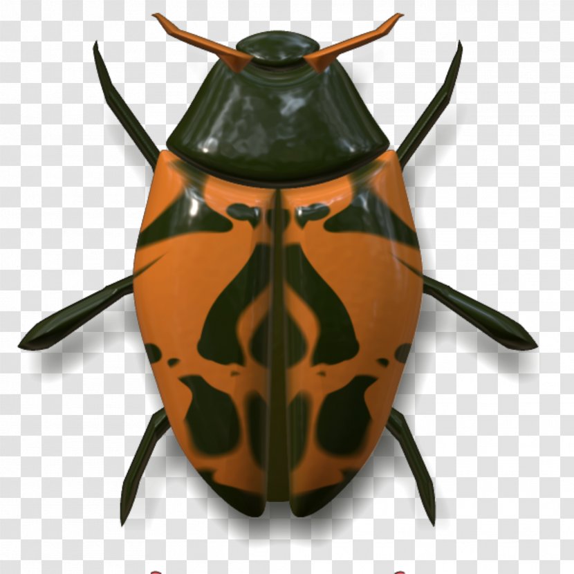 Insect Volkswagen Beetle Animal - Insects Transparent PNG