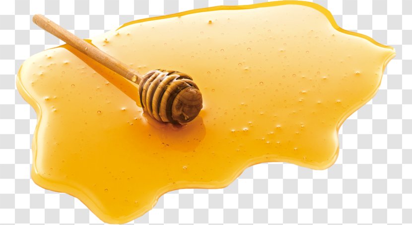 Clip Art Honey Image - Bee Transparent PNG