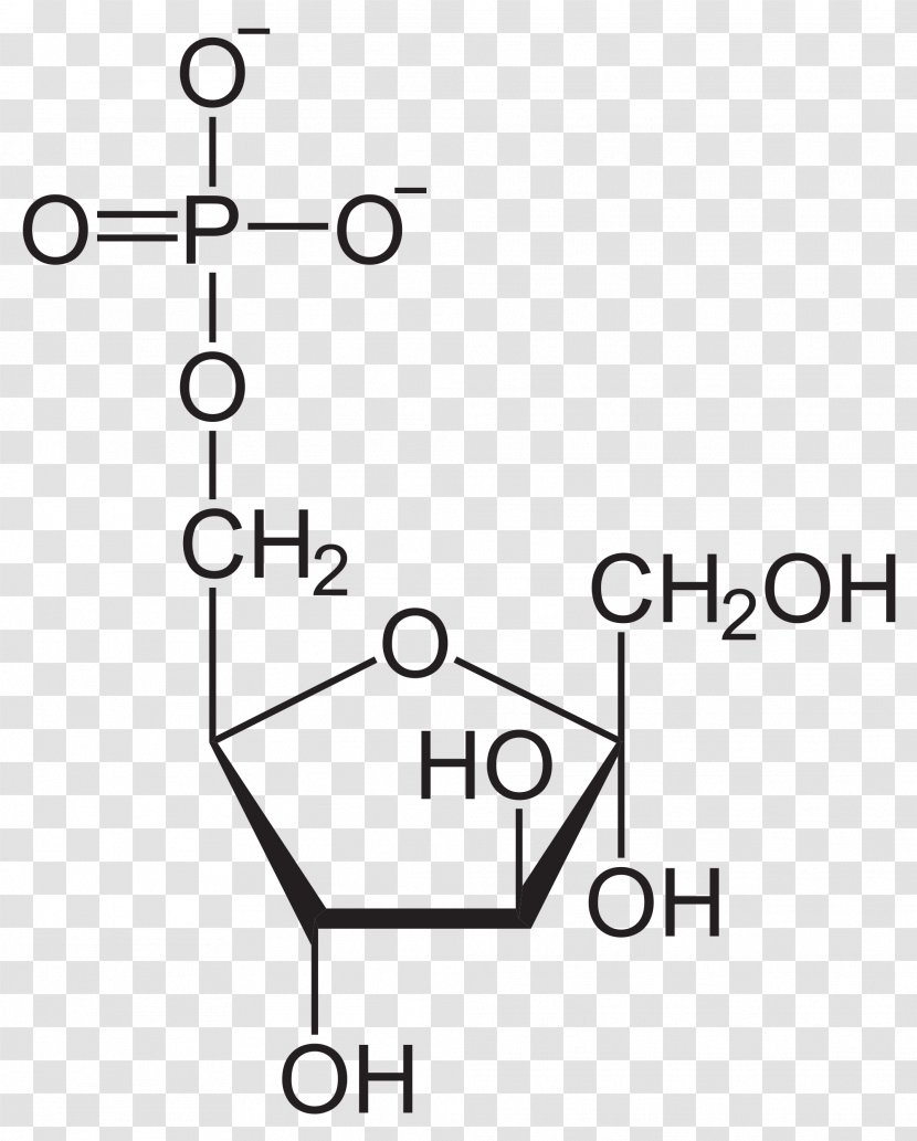 Fructose 6-phosphate Glucose 1,6-bisphosphate - Rectangle - Dihydroxyacetone Phosphate Transparent PNG