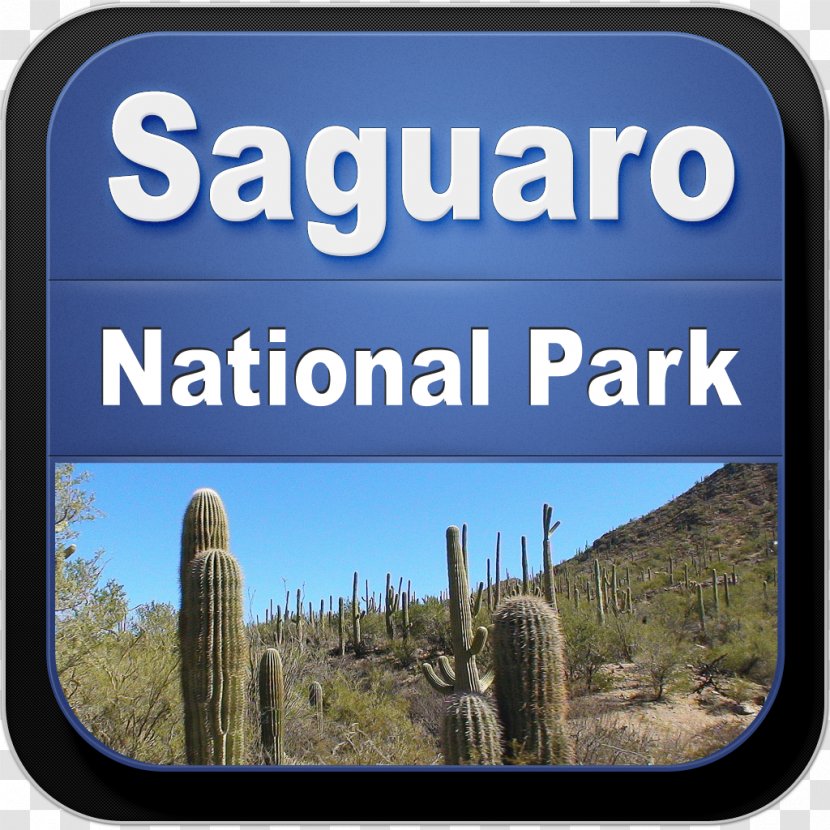 Bible Curitiba Desigual Google Play Game - Landscape - Saguaro National Park Transparent PNG