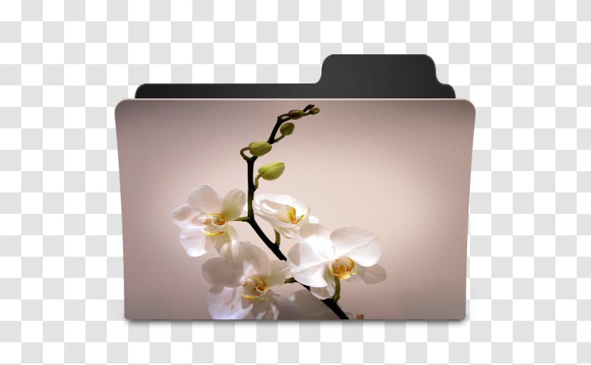Flower Desktop Wallpaper Quotation Blossom Morning - Floral Design Transparent PNG