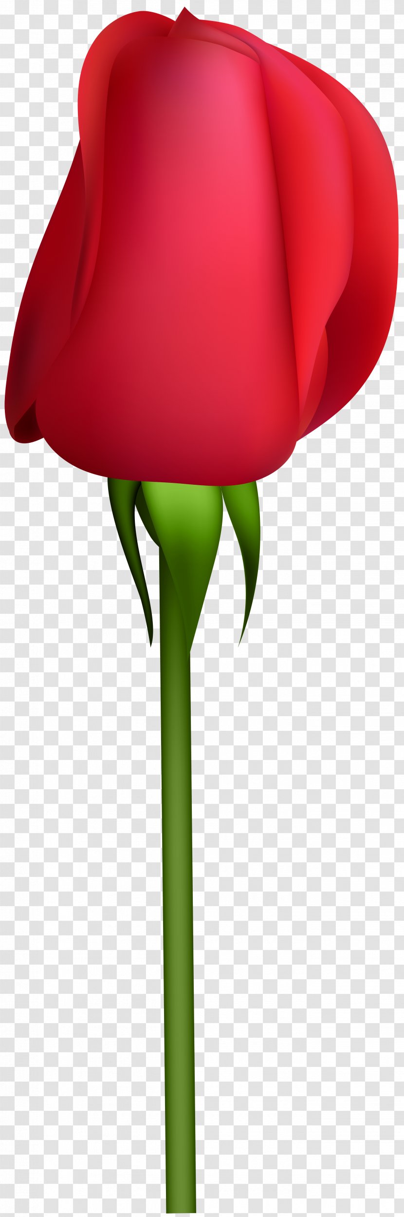 Garden Roses Clip Art - Plant Stem - Bud Transparent PNG