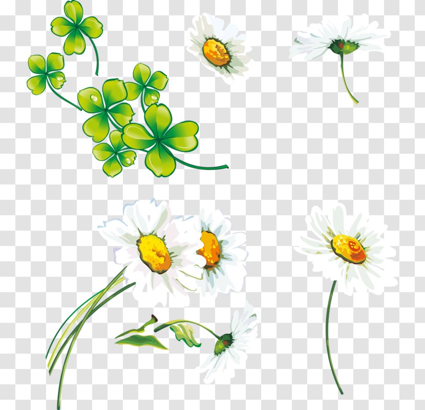 Clip Art - Yellow - Plant Stem Transparent PNG