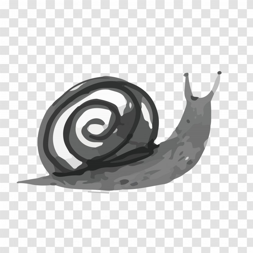 Ink Wash Painting Drawing Watercolor - Spiral - Snail Transparent PNG