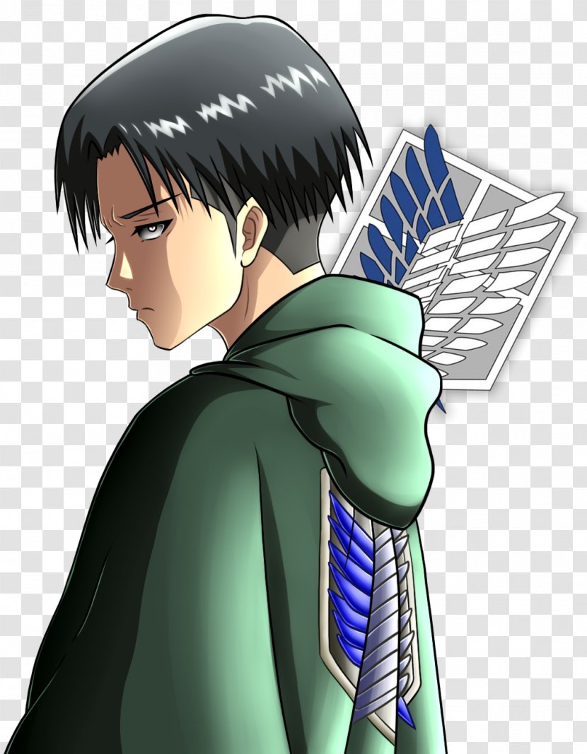 Eren Yeager Mikasa Ackerman Attack On Titan Levi Armin Arlert - Tree - Levis Transparent PNG