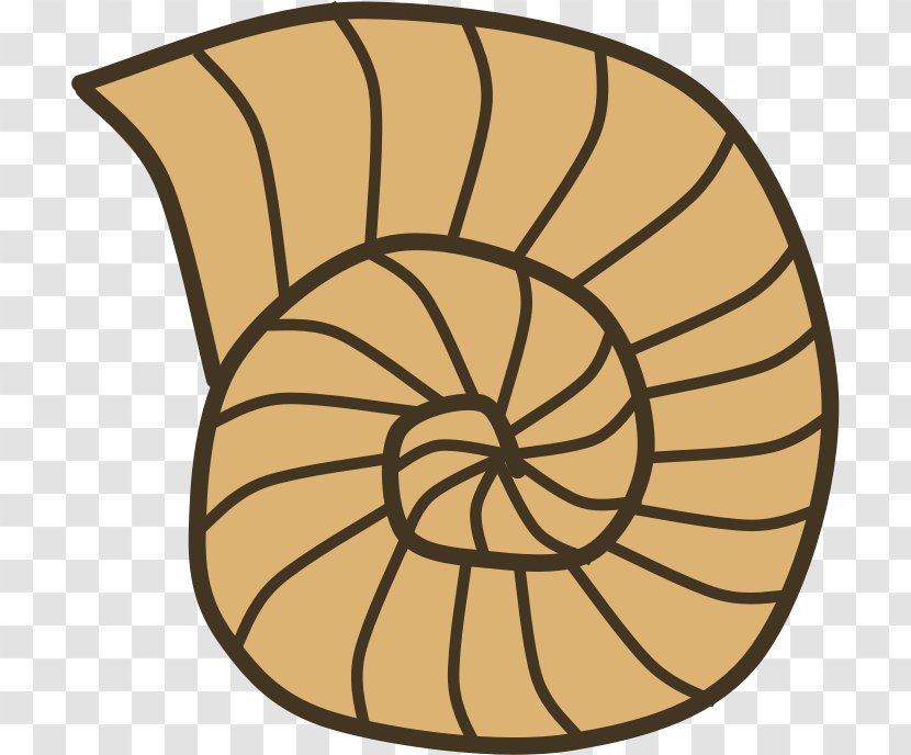 Gastropod Shell Seashell Snail Mollusc Clip Art - Conch Transparent PNG