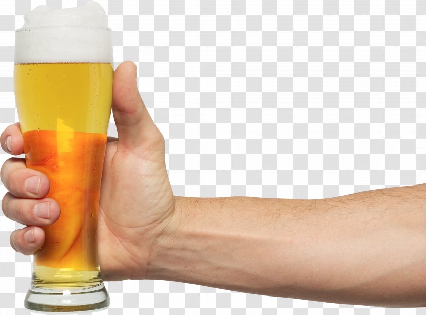 Beer Glassware - Free - Image Transparent PNG