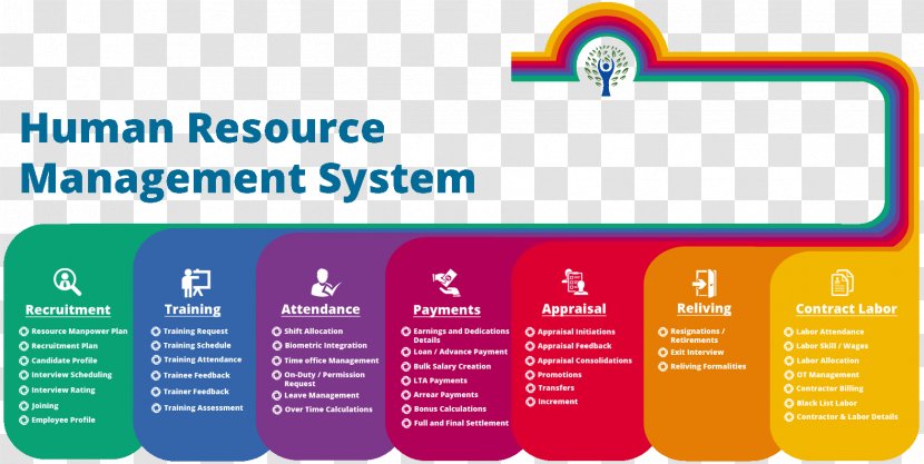 Human Resource Management System Resources Organization - Communication Transparent PNG