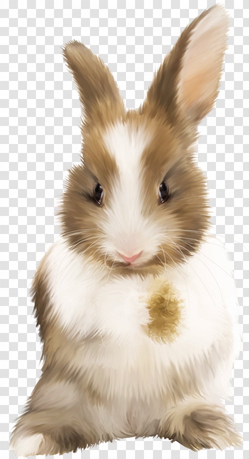 Hare Domestic Rabbit Cat - Leporids Transparent PNG