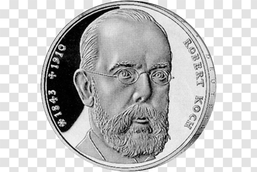 Facial Hair Coin Money Beard Currency - Head - Eva Longoria Transparent PNG