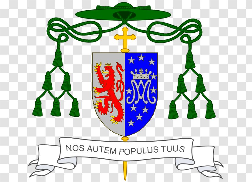 Roman Catholic Diocese Of Matagalpa Orange Archbishop - Populus Transparent PNG