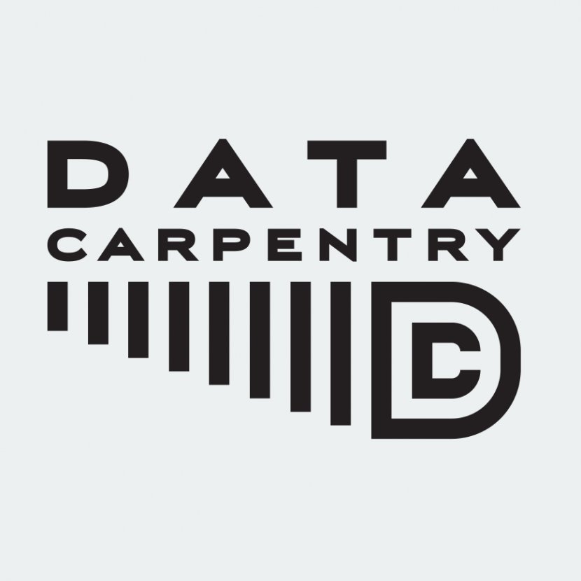 Carpenter Software Organization Workshop GitHub - Lesson - Carpentry Pics Transparent PNG