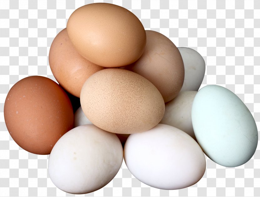 Chicken Egg White Yolk Boiled - Health Transparent PNG