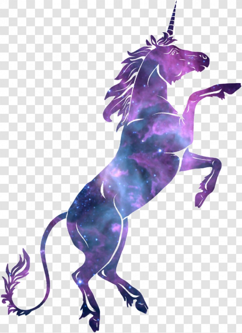 Vector Graphics Illustration Stock Photography Drawing Unicorn - Horse Transparent PNG
