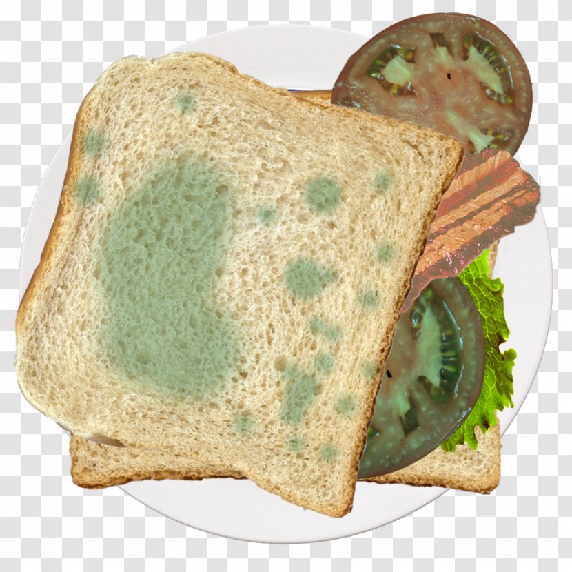 Toast Tomato Recipe - Moldy Transparent PNG