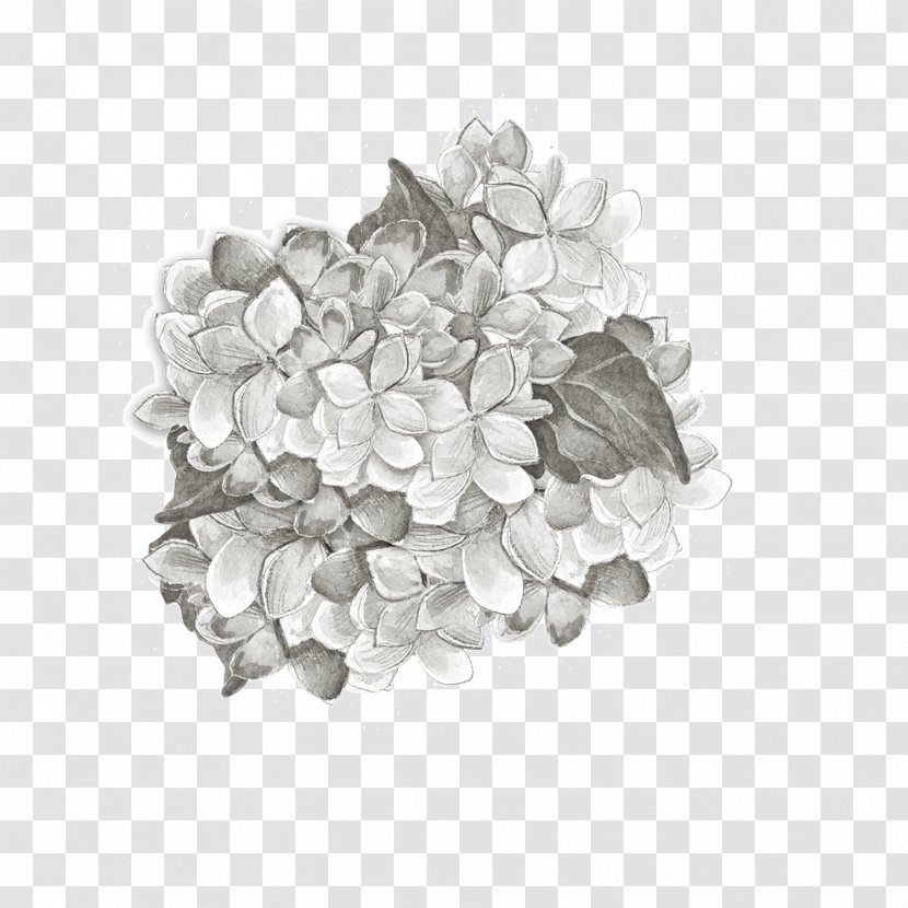 Black And White Petal Pattern - Flower - Grey Plant Cultivation Transparent PNG