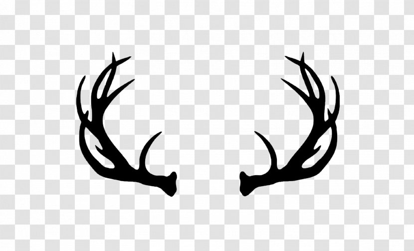 Reindeer White-tailed Deer Moose Elk - Wildlife - Head Transparent PNG