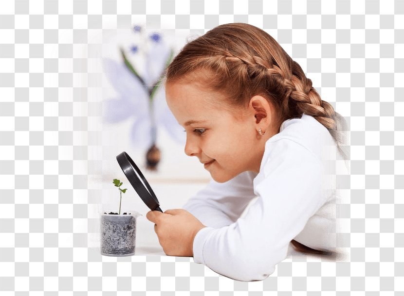Science Education Stock Photography Experiment Laboratory - Scientist Transparent PNG
