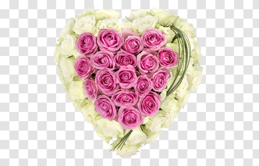 Garden Roses Cabbage Rose Cut Flowers Heart - Flower Transparent PNG
