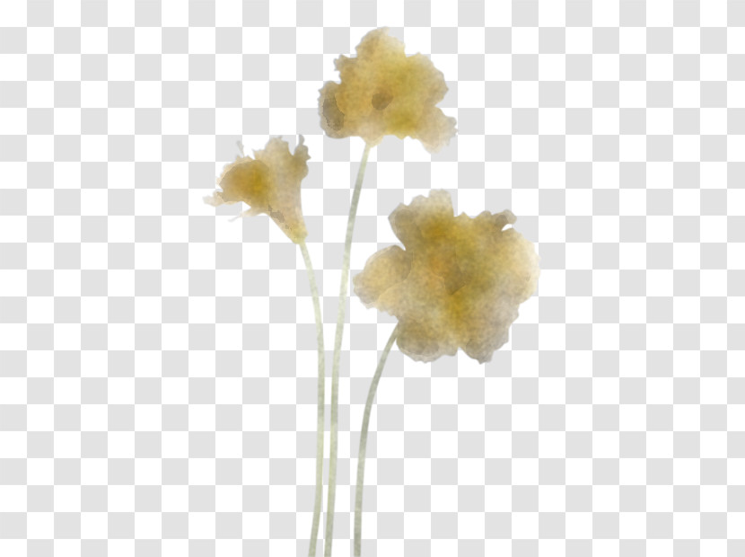 Plant Stem Cut Flowers Petal Flower Plant Transparent PNG