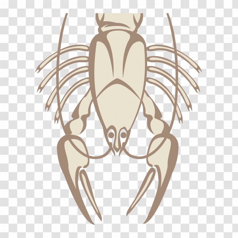 Beer Lobster Seafood Illustration - Cartoon - Vector Line Transparent PNG