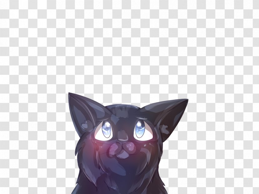 Black Cat Korat Havana Brown Kitten Whiskers Transparent PNG