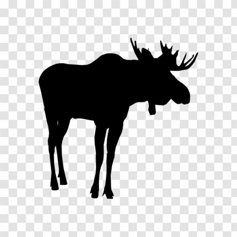 Animal Cartoon - Horn - Deer Transparent PNG