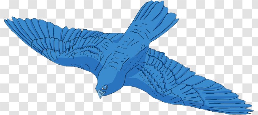 Cobalt Blue Animal - Wing - Bird Transparent Transparent PNG