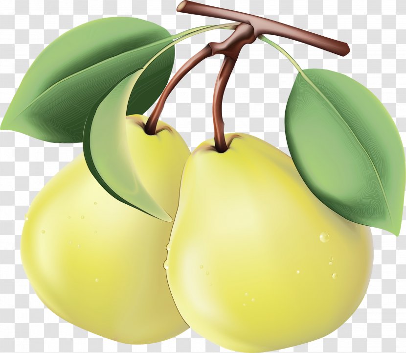 Fruit Tree - Flower Food Transparent PNG
