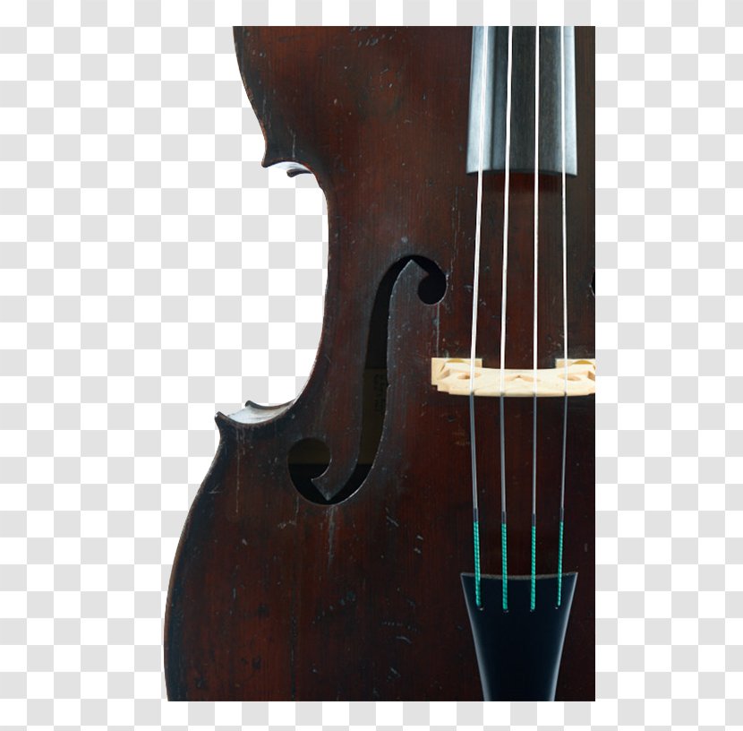 Bass Violin Double Violone Viola Octobass - Silhouette - Guitar Transparent PNG