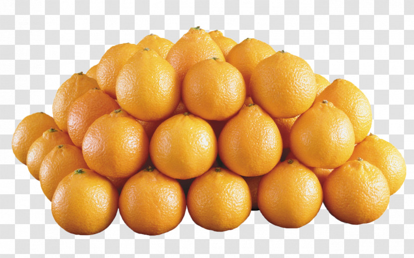 Orange Transparent PNG