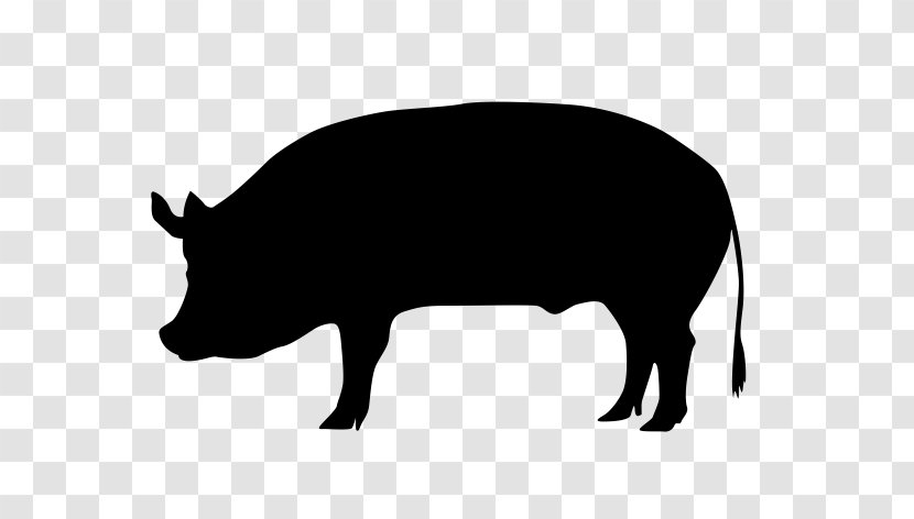 Pig Cartoon - Pigs Ear - Livestock Snout Transparent PNG
