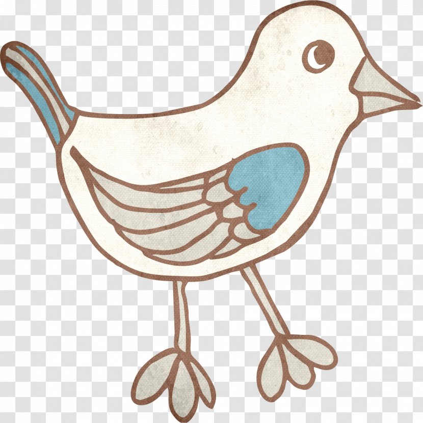 Bird Chicken Clip Art - Cartoon - Chick Transparent PNG