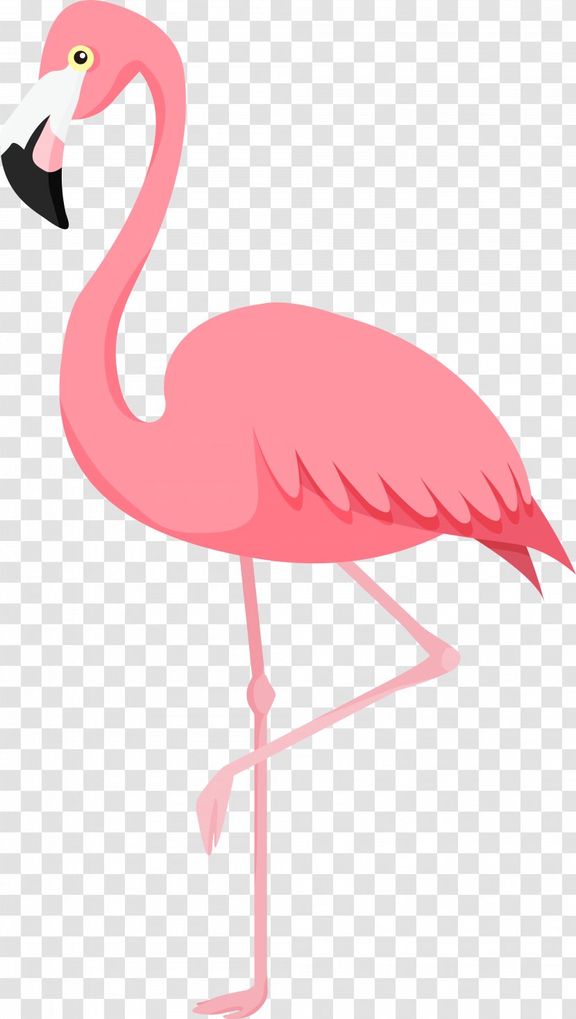 Flamingos Bird - Wing Transparent PNG